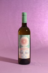vino gaiospino 2013 da 750 millilitri dell'azienda agricola Fattoria Coroncino