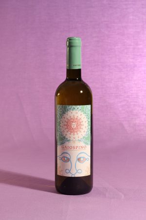 vino gaiospino 2013 da 750 millilitri dell'azienda agricola Fattoria Coroncino