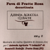etichetta della fava di fratte rosa decorticata in confezione da 500 grammi prodotta dall'azienda agricola I Lubachi di Fratte Rosa in provincia di Ancona