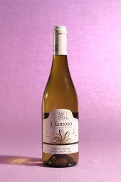 annata 2014 del vino Il Famoso dell'azienda agricola il Conventino di Monteciccardo