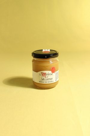 Miele di edera 250 grammi della Mieleria San Lorenzo di San Lorenzo in campo (PU)