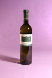 Verdicchio Santa Lucia 2014 dell'azienda agricola Mancini Benito di Maiolati Spontini (Ancona)