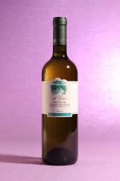 vino di gino 2014 da 750 millilitri dell'azienda agricola Fattorie San Lorenzo