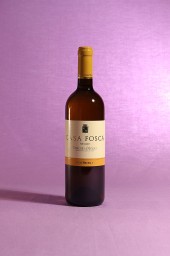 vino Casa Fosca 2013 Verdicchio di Matelica DOC prodotto dall'Azienda Agricola Enzo Mecella