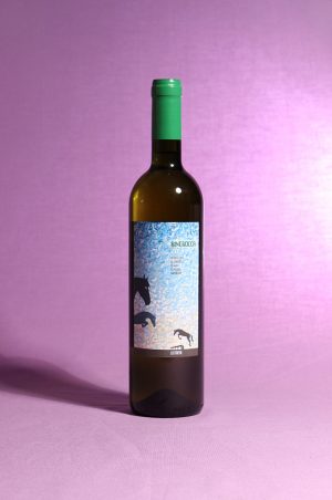 Verdicchio classico superiore Rincrocca dell'azienda La Staffa